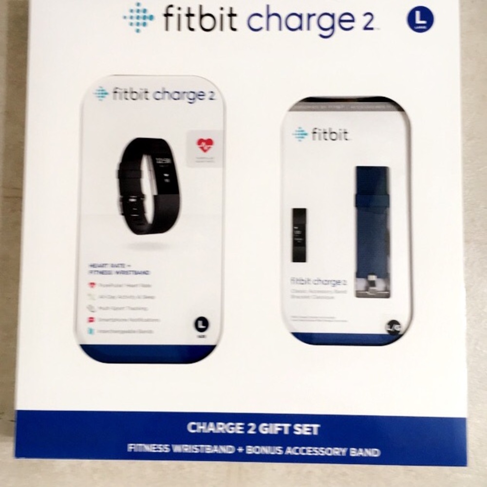 Fitbit 2 with wrist band included